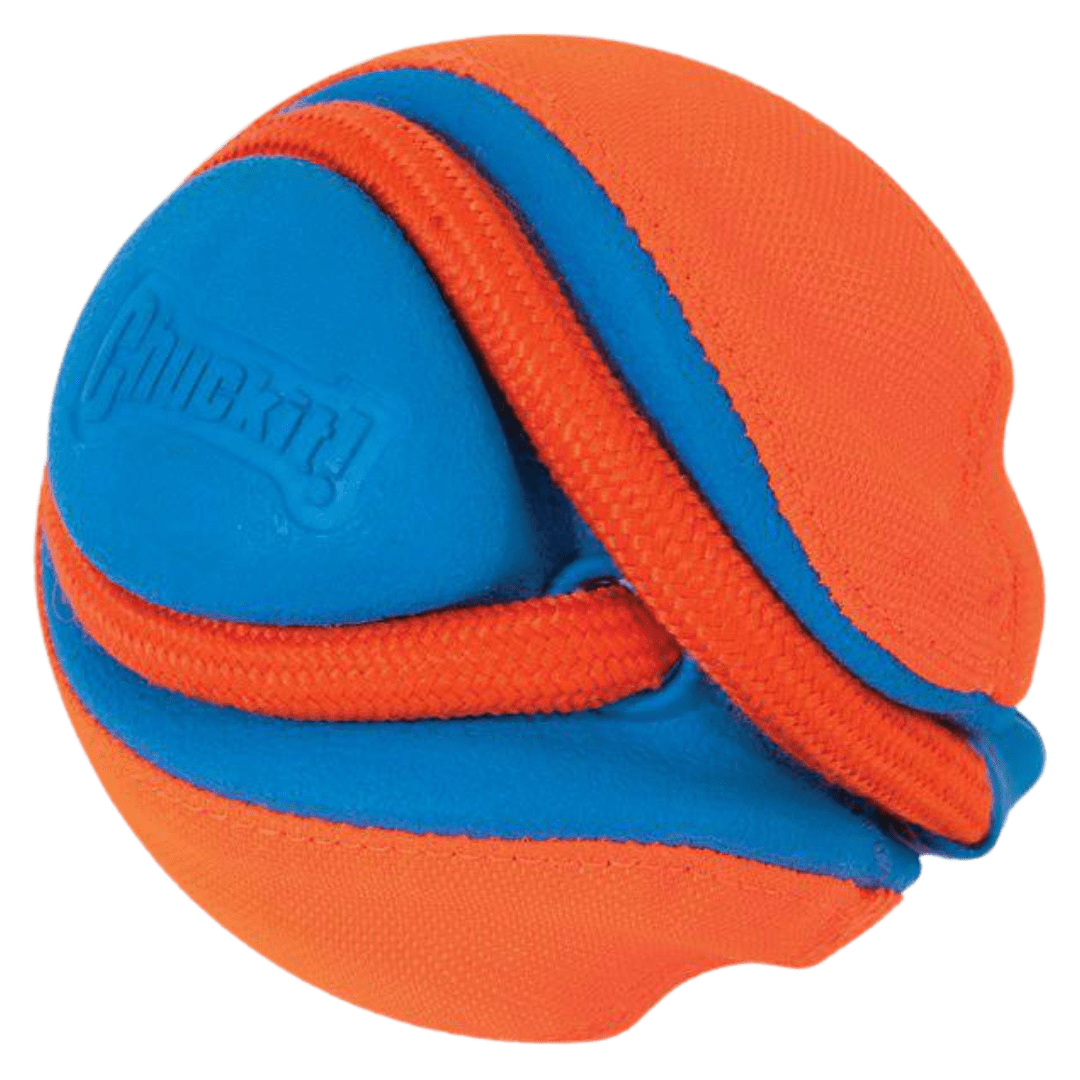 chuckit trekbal groot