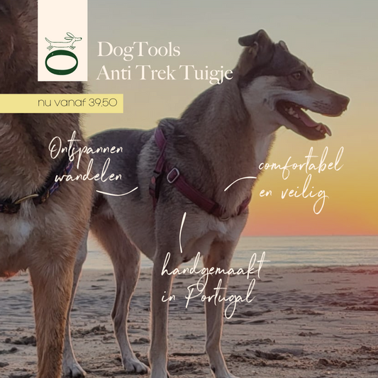 dogtools dogguardian