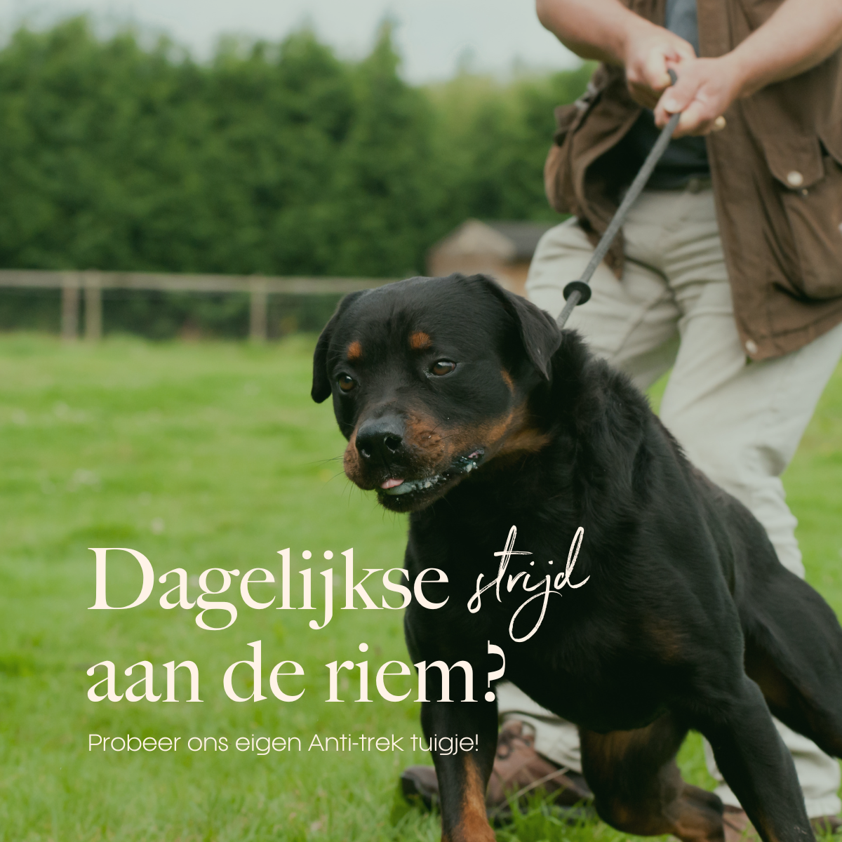 dogguardian de beste keuze voor je beste vriend