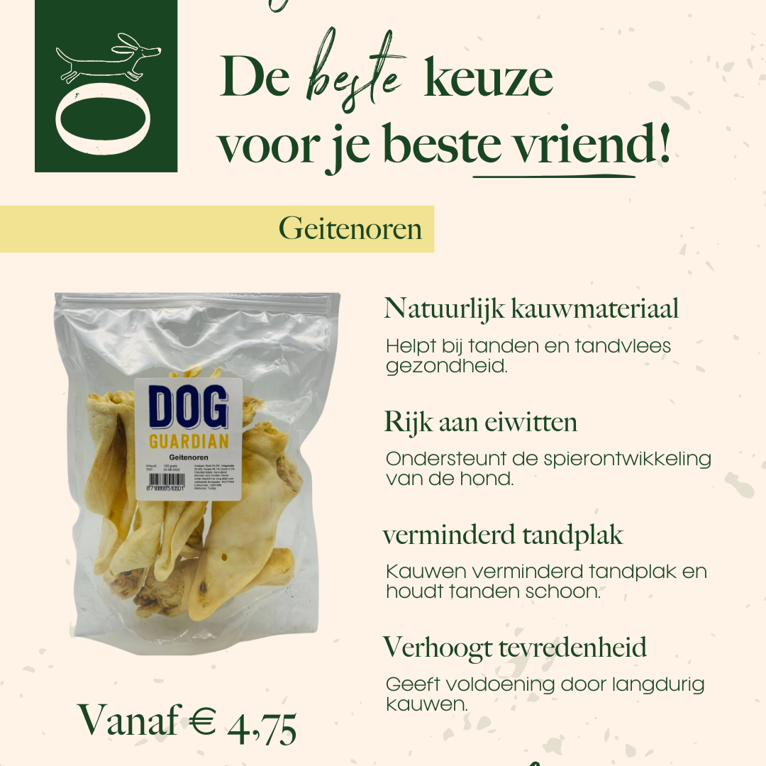 dogguardian snack hond