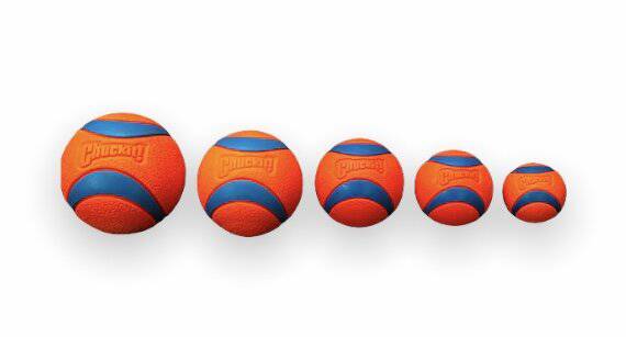 Chuckit! ultrabal - Dog Guardian