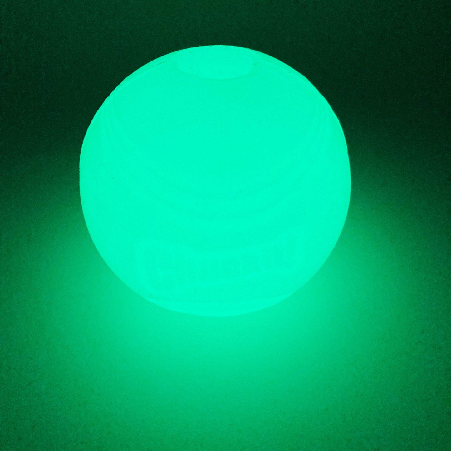 Chuckit! bal Glow - Dog Guardian