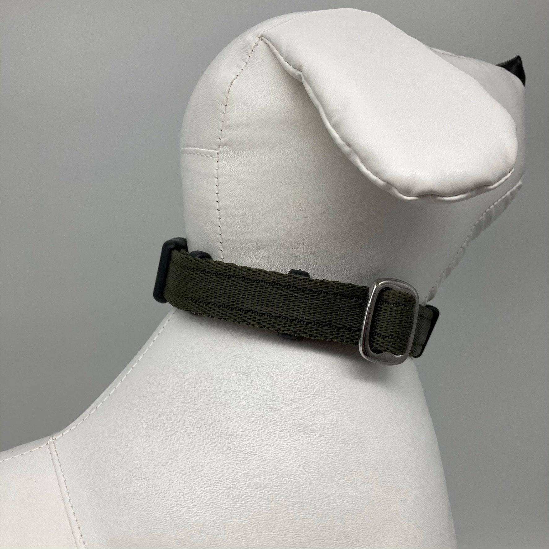 DogTools halsband - Dog Guardian