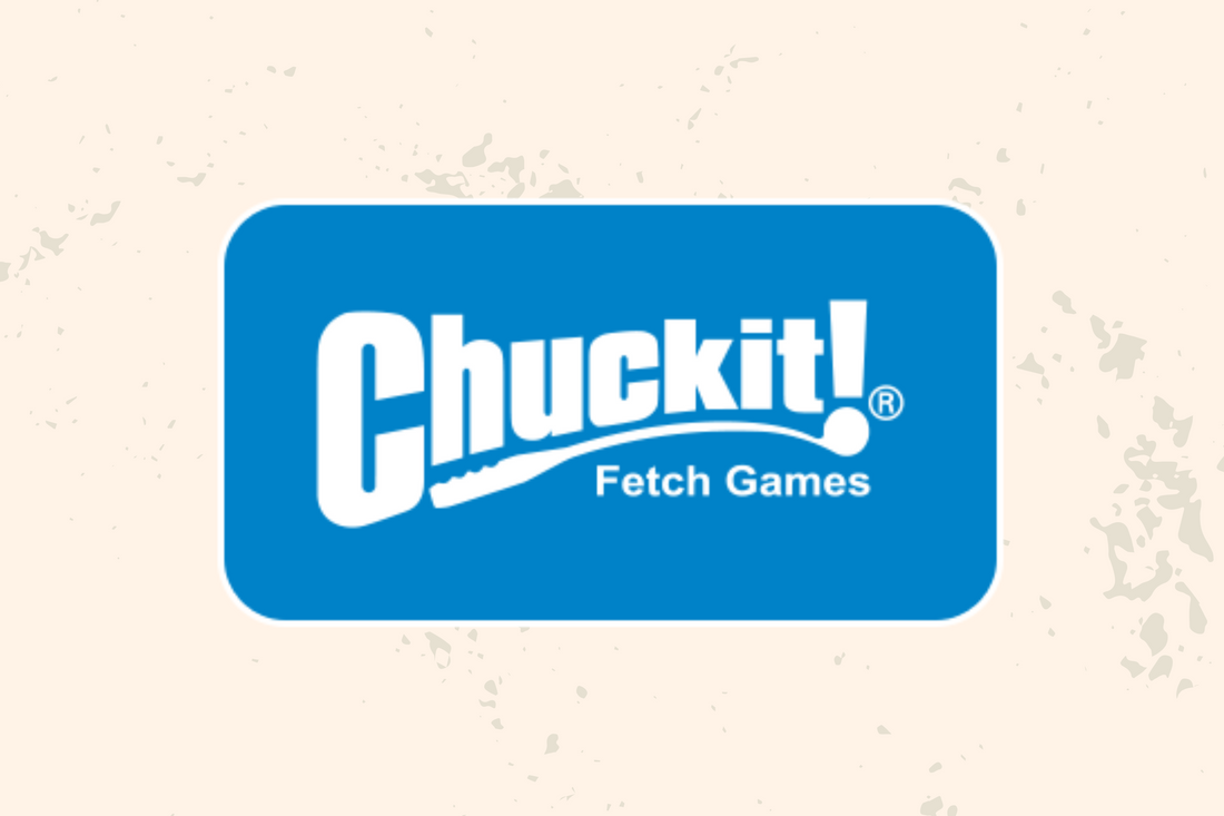 Chuckit! Fetch games