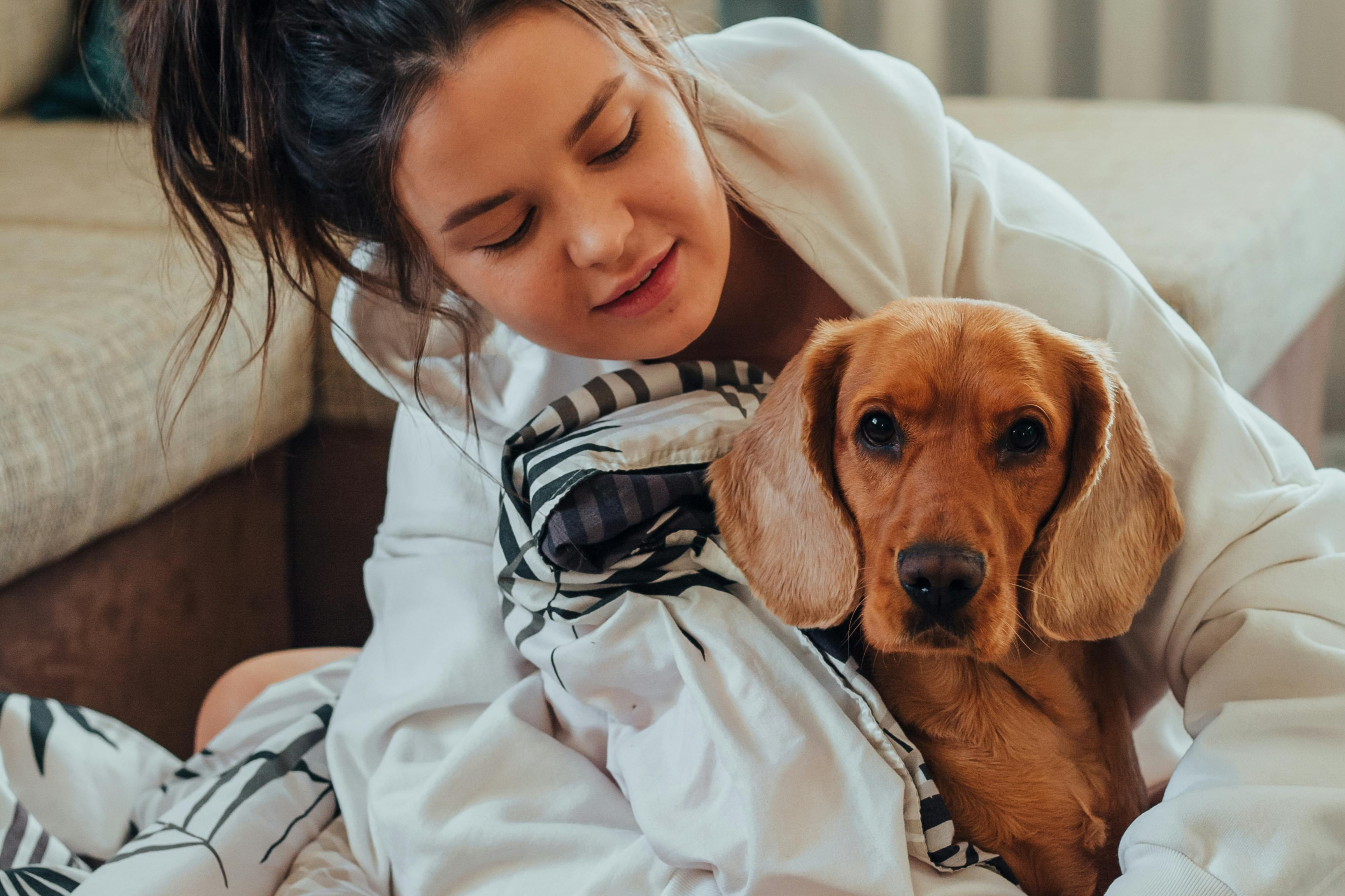 dogguardian de beste keuze voor je beste vriend