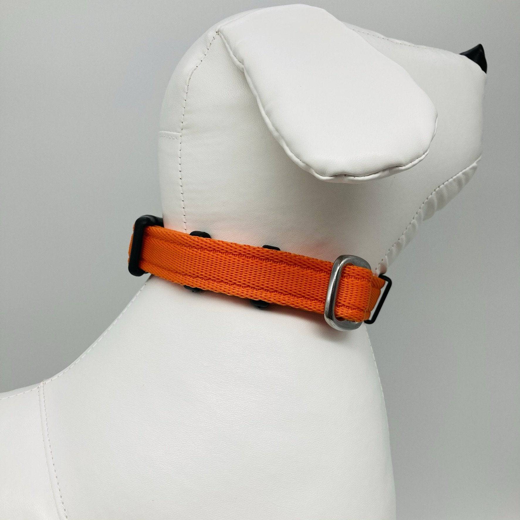 DogTools halsband L - Dog Guardian