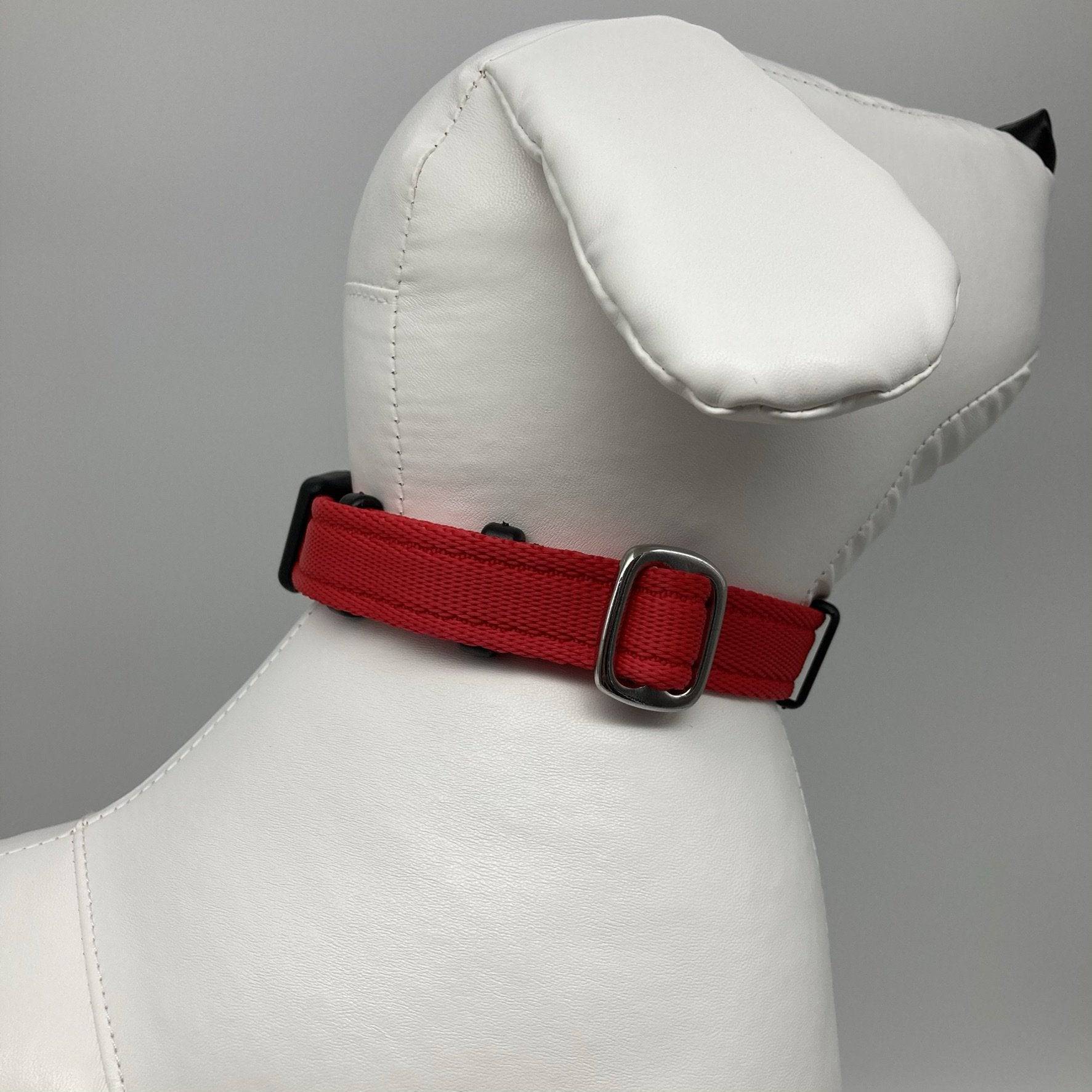 DogTools halsband L - Dog Guardian