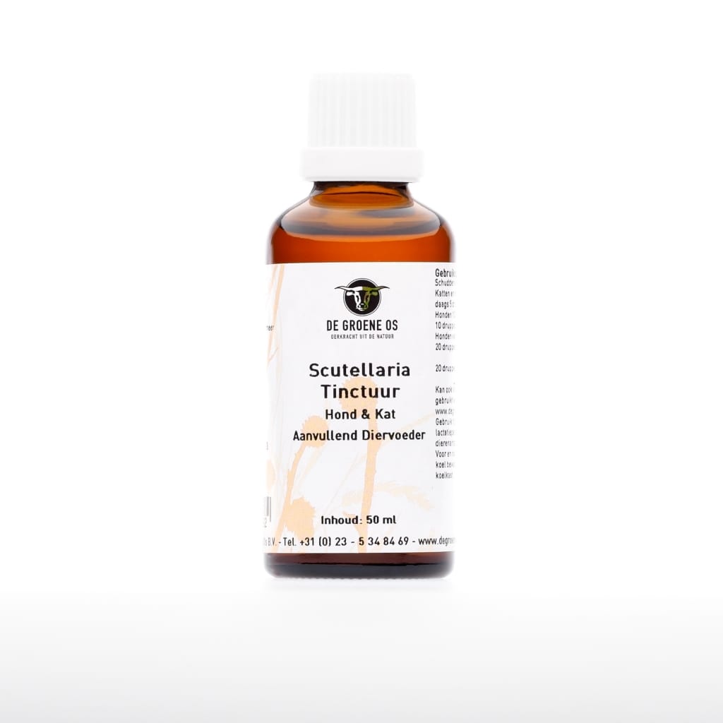 Scutellaria Tincture 50ml the Green Ox