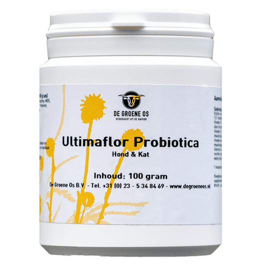 Ultimaflor Probiotica 100g de Groene Os - Dog Guardian