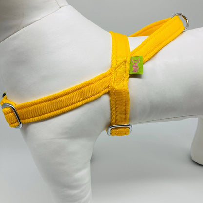 honden tuig ontworpen door experts dogguardian