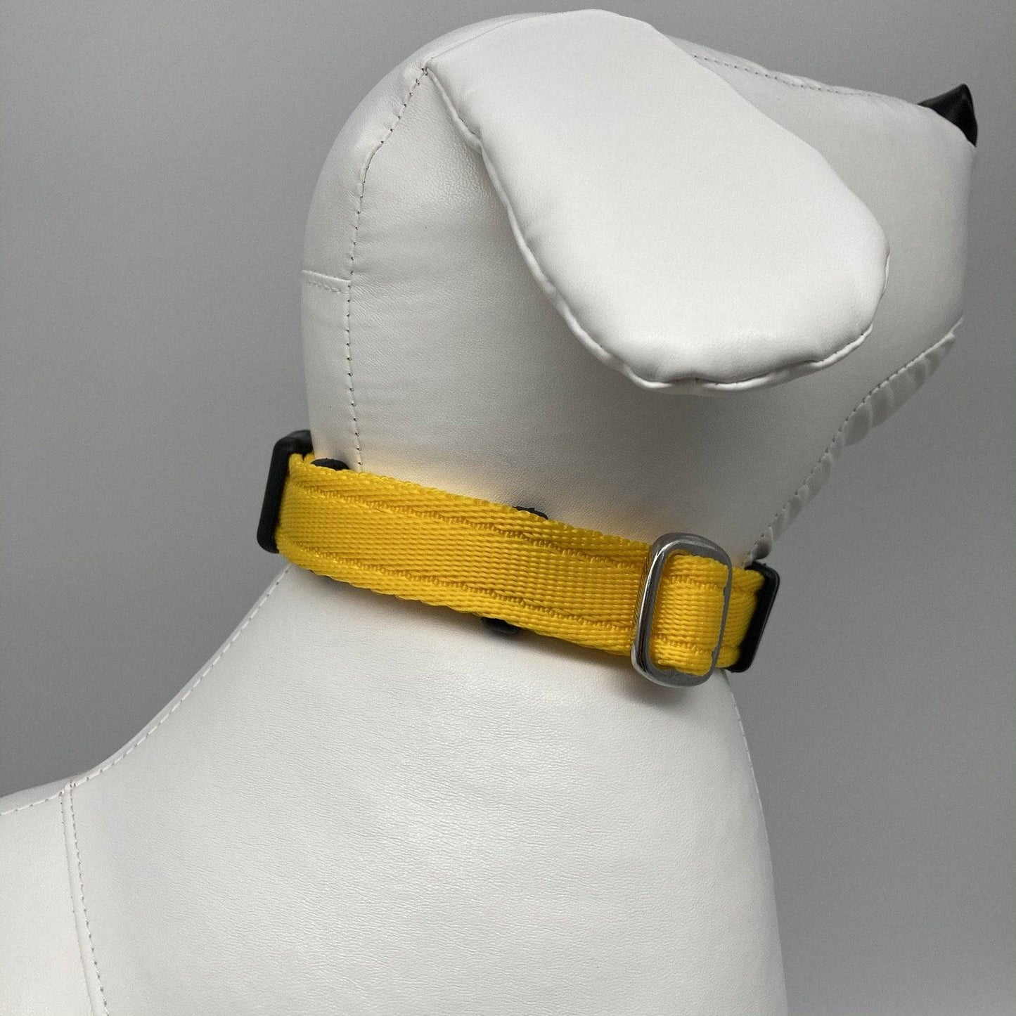 DogTools halsband - Dog Guardian