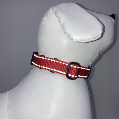 DogTools halsband - Dog Guardian