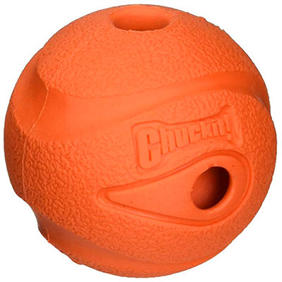 Chuckit! ball whistler